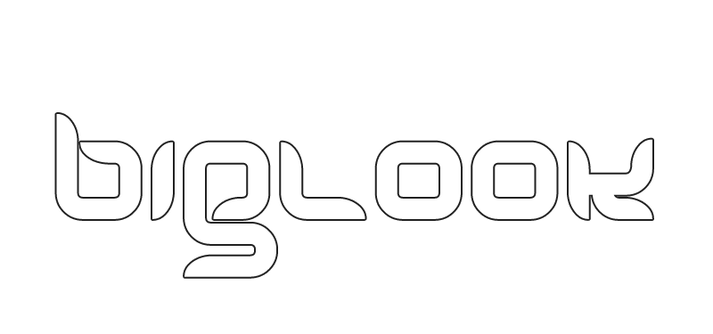 Biglook logo